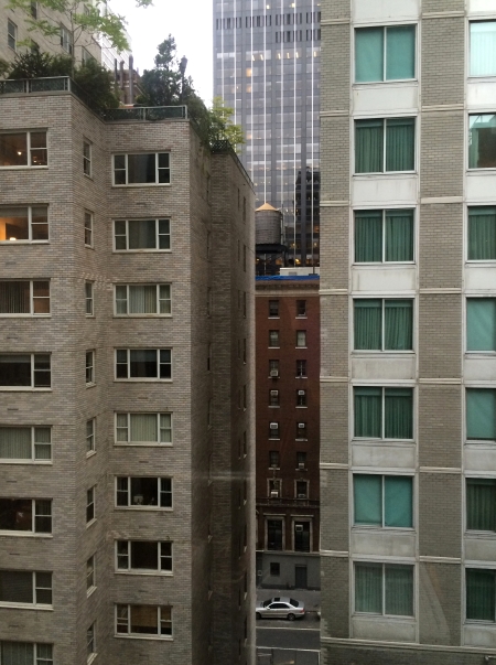 NYC Day View 1 from Room 801 photography chriscarterartist 091314 full